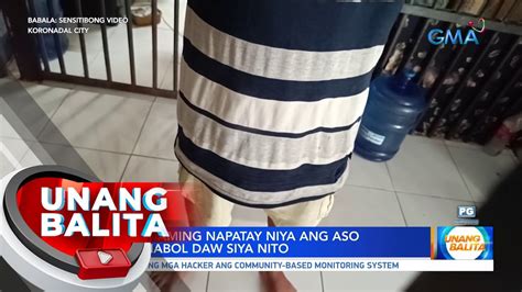 lalake kinantot ang aso|Aso, pinagpapalo at pinugutan sa Cotabato .